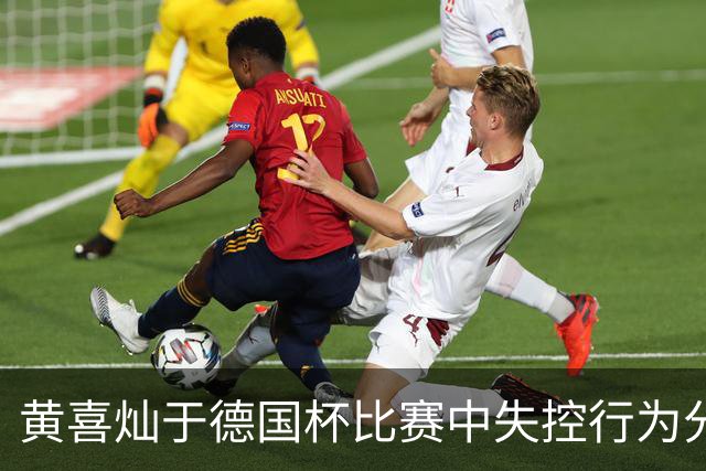 黄喜灿于德国杯比赛中失控行为分析及其潜在后果